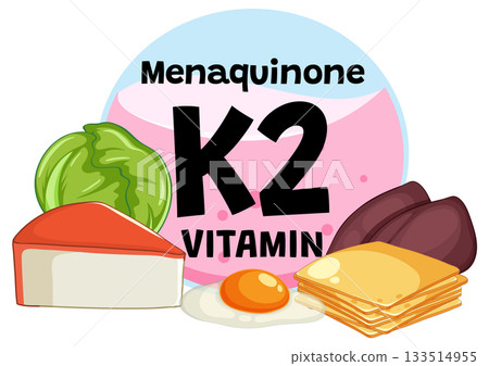 Vitamin K2 Rich Foods and Menaquinone Sources Vector Illustration 133514955