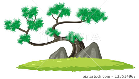 Curved Bonsai Pine Tree with Rocks on Grass Curved Bonsai Pine Tree with Rocks on Grass 133514962