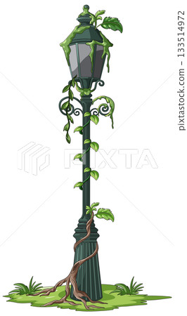 Overgrown Street Lamp with Climbing Green Vines Overgrown Street Lamp with Climbing Green Vines 133514972