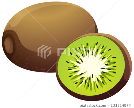 Whole and Sliced Kiwi Fruit Vector Illustration Whole and Sliced Kiwi Fruit Vector Illustration 133514974