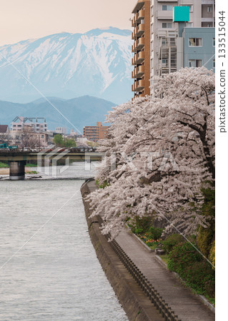 Beautiful Iwate mountain and Kitakami river with flowers blooming in Spring season, cityscape against blue sky in Morioka city, Iwate prefecture, Japan. famous Landmark Travel and Vacation destination 133515044