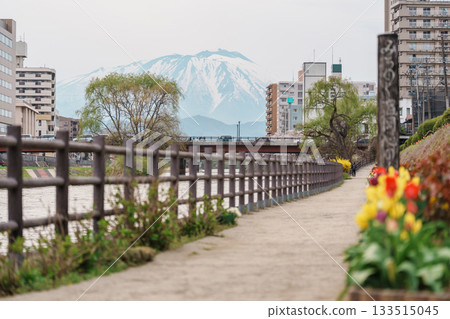 Beautiful Iwate mountain and Kitakami river with flowers blooming in Spring season, cityscape against blue sky in Morioka city, Iwate prefecture, Japan. famous Landmark Travel and Vacation destination 133515045