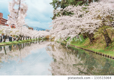 Beautiful Hirosaki Castle park with Sakura Cherry Blossom in Spring, traveling in Hirosaki city, Aomori, Tohoku, Japan. Landmark famous in Japan. Travel and Vacation destination 133515064