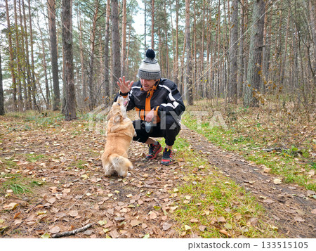 Man Playing with Corgi Dog in Autumn Forest Man Playing with Corgi Dog in Autumn Forest 133515105