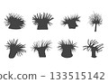 Sea anemone svg, Sea anemone silhouette, Sea anemone vector, Anemone svg, Sea anemone drawing, Sea anemone icons. 133515142