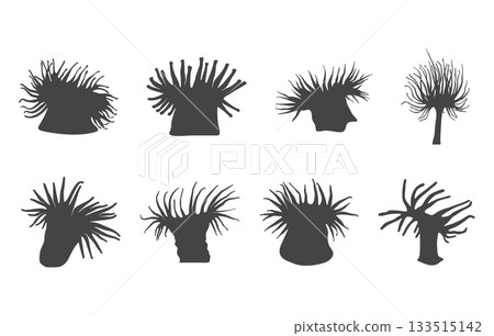 Sea anemone svg, Sea anemone silhouette, Sea anemone vector, Anemone svg, Sea anemone drawing, Sea anemone icons. 133515142