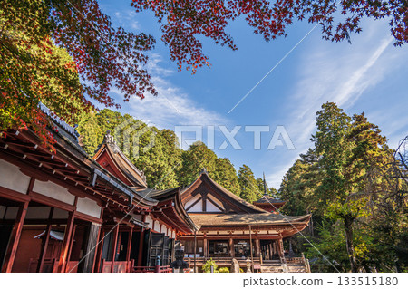 Scenery of the grounds of Chomyoji Temple, Omihachiman City, Shiga Prefecture 133515180