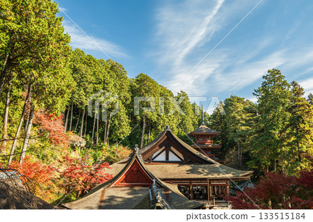 滋賀縣近江八幡市長明寺寺院景色 133515184
