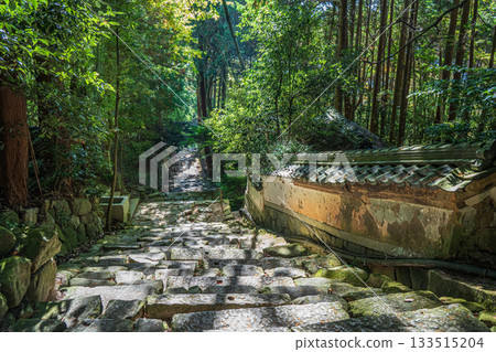通往滋賀縣近江八幡市長明寺的石階 133515204