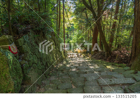 Stone steps leading to Chomyoji Temple, Omihachiman City, Shiga Prefecture 133515205