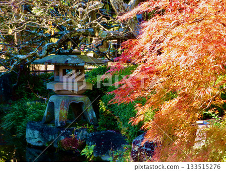 Hase-dera寺廟秋葉 Hase-dera寺廟秋葉 133515276