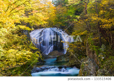 [Yamagata Prefecture, Higashine City] The spectacular Sekiyama Falls in autumn, with a drop of 10m and a width of 15m 133515406