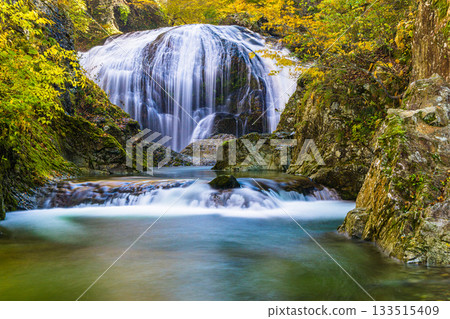 [Yamagata Prefecture, Higashine City] The spectacular Sekiyama Falls in autumn, with a drop of 10m and a width of 15m 133515409
