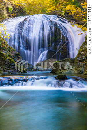 [Yamagata Prefecture, Higashine City] The spectacular Sekiyama Falls in autumn, with a drop of 10m and a width of 15m 133515414