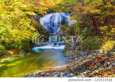 [Yamagata Prefecture, Higashine City] The spectacular Sekiyama Falls in autumn, with a drop of 10m and a width of 15m 133515416