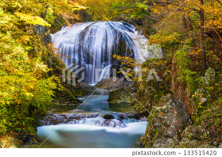 [Yamagata Prefecture, Higashine City] The spectacular Sekiyama Falls in autumn, with a drop of 10m and a width of 15m 133515420