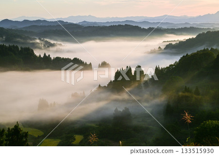 清晨，星峠雲海美景 133515930