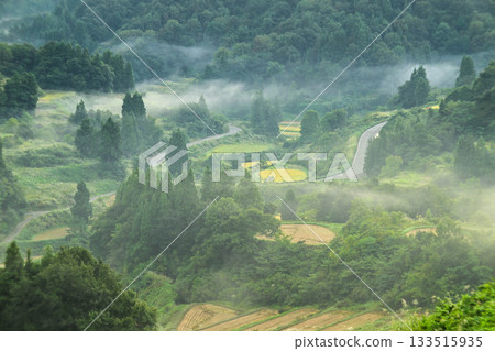 Morning view of Hoshi Pass with a sea of clouds 133515935