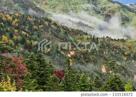Autumn leaves of Shoga Takahara Yokote Autumn leaves of Shoga Takahara Yokote 133516072