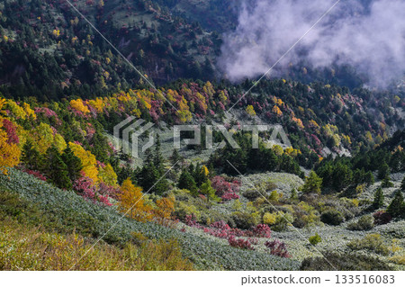 Autumn leaves of Shoga Takahara Yokote Autumn leaves of Shoga Takahara Yokote 133516083