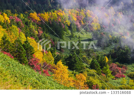 Autumn leaves of Shoga Takahara Yokote Autumn leaves of Shoga Takahara Yokote 133516088