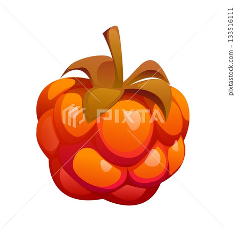 Cartoon ripe cloudberry berry fruit with shiny and glossy texture, showcasing its juicy and plump segments. Isolated vector sweet, healthy food, organic summer product , fresh, natural dessert Cartoon ripe cloudberry berry fruit with shiny and glossy texture, showcasing its juicy and plump segments. Isolated vector sweet, healthy food, organic summer product , fresh, natural dessert 133516111