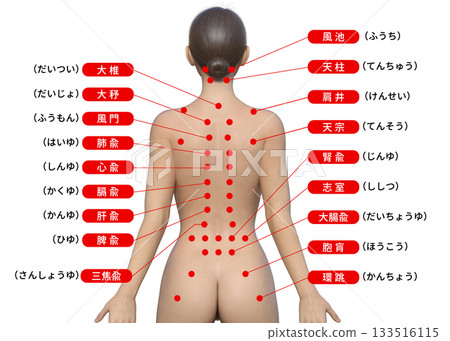 背部穴位按摩點三維示意圖,展示了女性背部上半身的穴位按摩點。 背部穴位按摩點三維示意圖,展示了女性背部上半身的穴位按摩點。 133516115