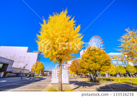 日本橫濱城市景觀，11月22日。圖中可見中心北站、都築阪急摩天輪等。 133516238