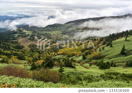 清晨的澀峠景色 133516309