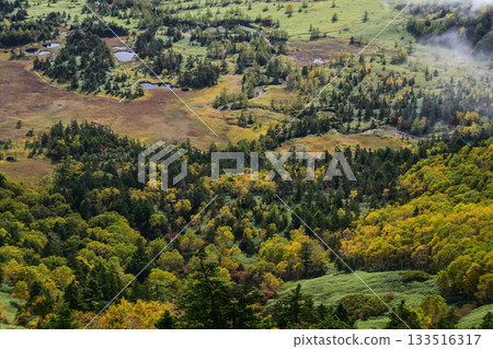 清晨的澀峠景色 133516317