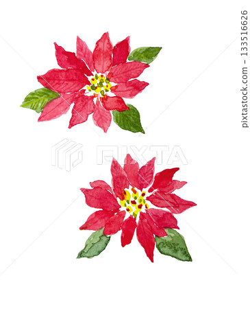 水彩手繪一品紅 133516626