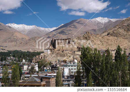 Leh Palace in Ladakh, India Leh Palace in Ladakh, India 133516684