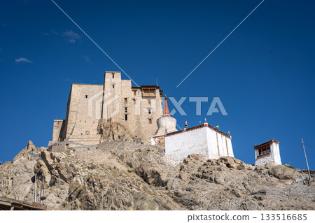 Leh Palace in Ladakh, India 133516685