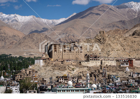 Leh Palace in Ladakh, India 133516830