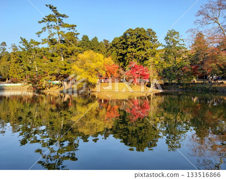 Autumn leaves reflected on the water Autumn leaves reflected on the water 133516866