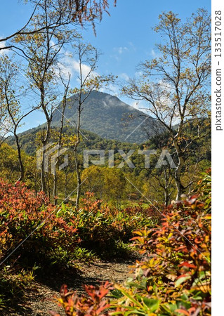 Tanohara Marsh fall 133517028