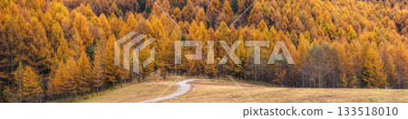 251106 Norikura Youth House g490-506P 133518010