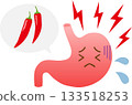 Stomach irritated by spicy food 133518253