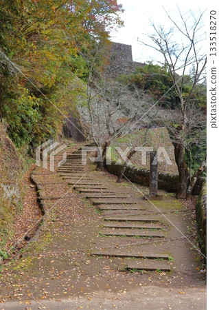 Autumn at the entrance to Oka Castle (Taketa City, Oita Prefecture) Autumn at the entrance to Oka Castle (Taketa City, Oita Prefecture) 133518270