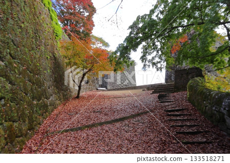 Fallen leaves cover the entrance to Oka Castle, in front of the Otemon Gate (Taketa City, Oita Prefecture) Fallen leaves cover the entrance to Oka Castle, in front of the Otemon Gate (Taketa City, Oita Prefecture) 133518271