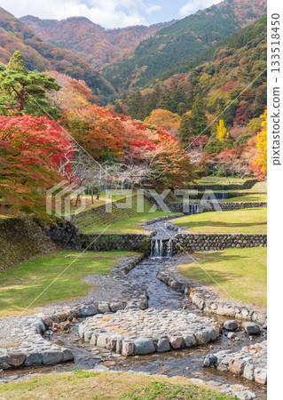 Beautiful autumn leaves at Yoro Park, view from Fudo Bridge (Gifu Prefecture) 133518450