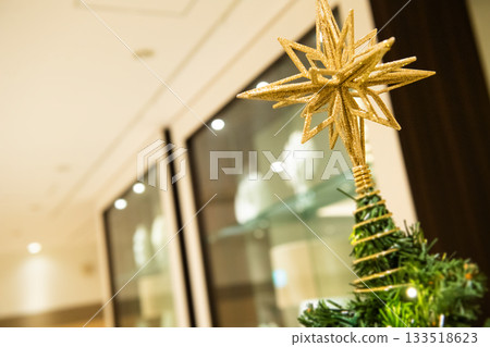 Landscape with Christmas tree 133518623