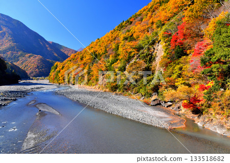 弁天橋 / 從早川河上游眺望（山梨縣早川町）[2025年11月] 133518682