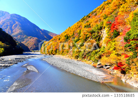 弁天橋 / 從早川河上游眺望（山梨縣早川町）[2025年11月] 133518685
