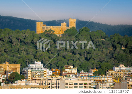 Palma de Mallorca 133518707