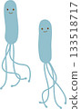 Helicobacter pylori 133518717