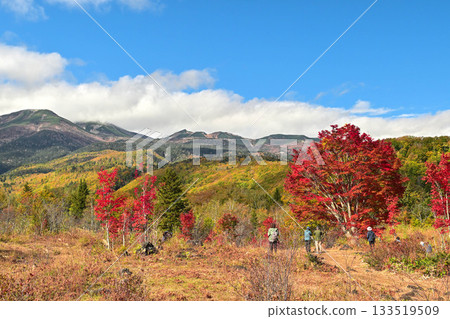 乘鞍高原的巨楓紅葉 133519509