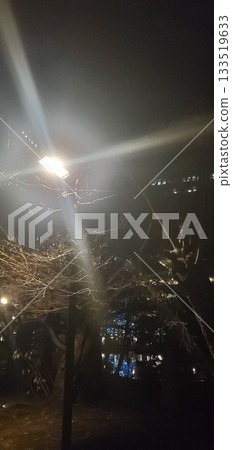 At the pond in the former prefectural government garden 133519633