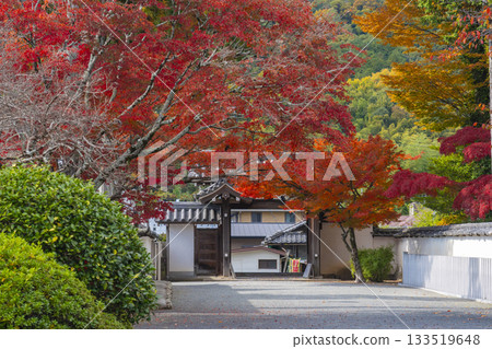 Tada Shrine West Gate Autumn leaves season Tada Shrine West Gate Autumn leaves season 133519648
