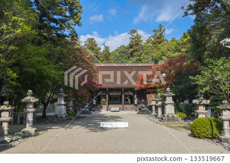 多田神社參拜殿秋葉季 多田神社參拜殿秋葉季 133519667
